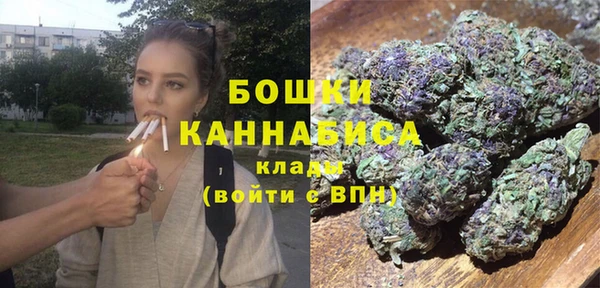 прущие грибы Арсеньев