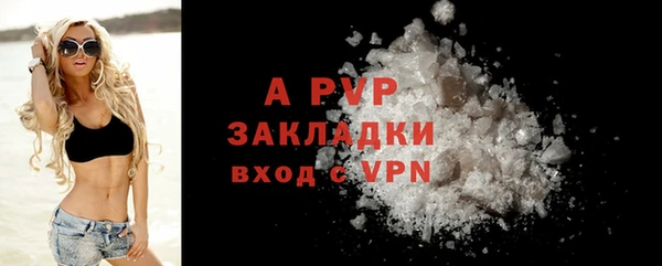 прущие грибы Арсеньев