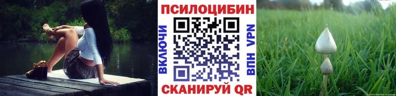 продажа наркотиков  Среднеколымск  Псилоцибиновые грибы мухоморы 
